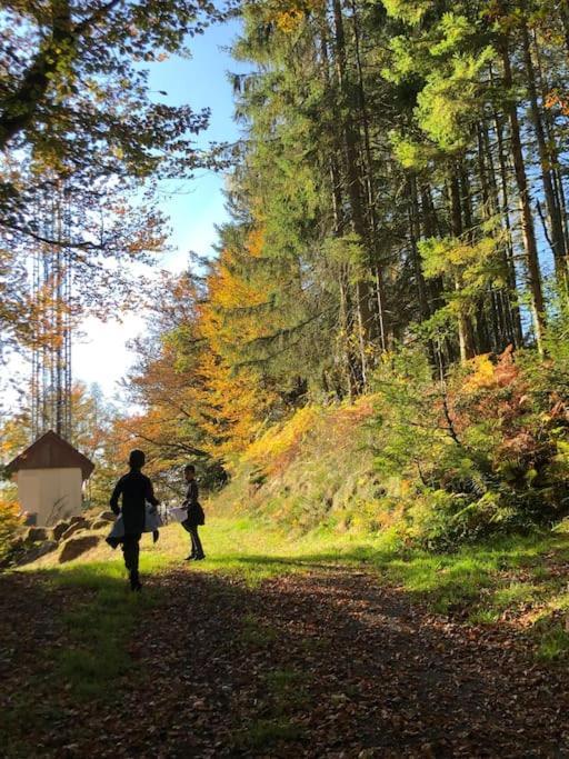 Le Chalet Des Coeurs ル・トリー エクステリア 写真